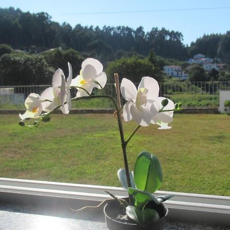 Villa Al Casa De Sao Roque Caminha Exterior foto